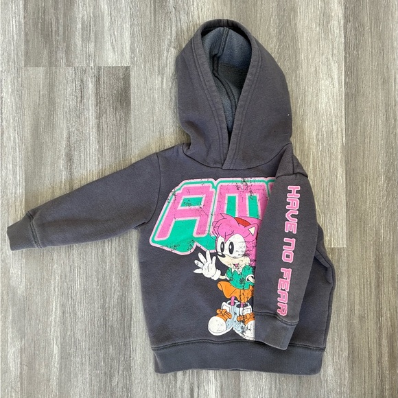 Sonic The Hedgehog Amy Rose Limited Edition Hoodie - Picture 1 of 3